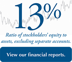 Ratio of stockholders equity to assets, excluding separate accounts